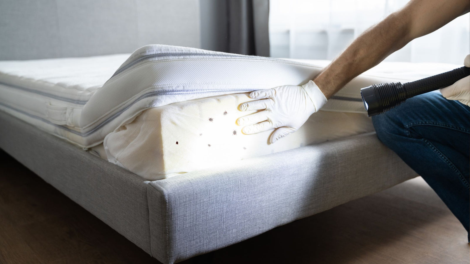 How to Get Rid of Bed Bug Bites Overnight